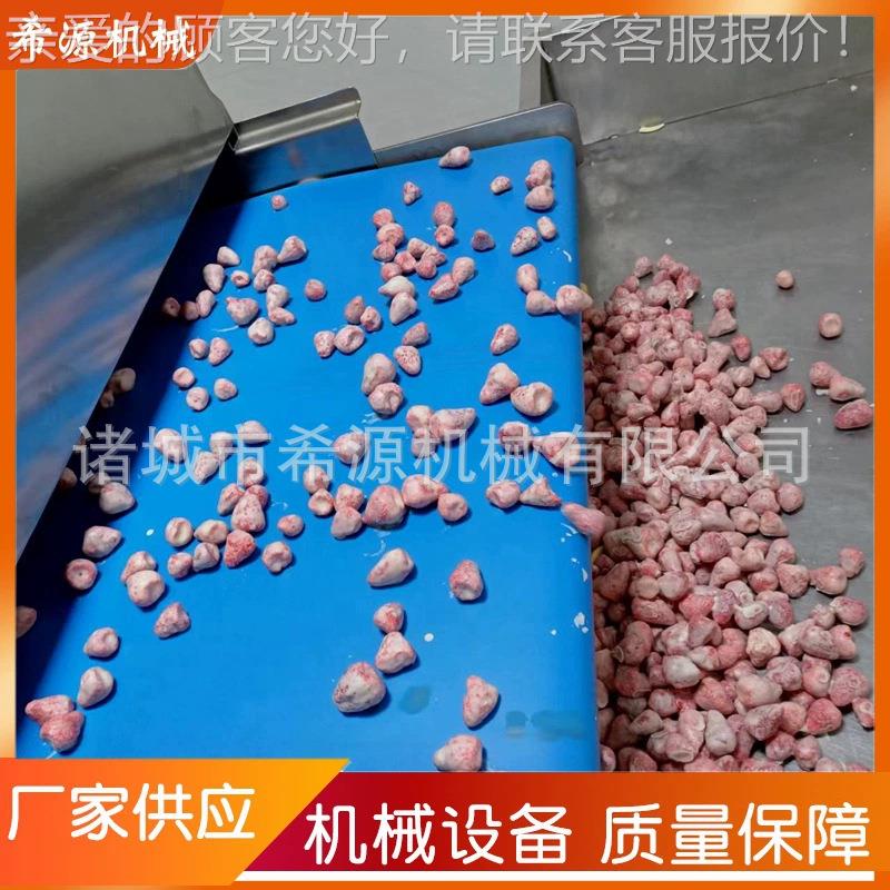 厂家麻 薯面包QXR巧克泡力涂层机蛋糕巧克力设备涂芙巧克力淋面机