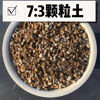 长歌园艺 7比3控型颗粒土适用于种植仙人球 龙舌兰与块根植物