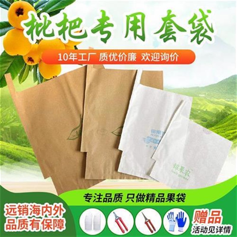 双层枇杷果袋套防晒防鸟袋白色透光水果套袋专用纸袋套树上的袋子图片