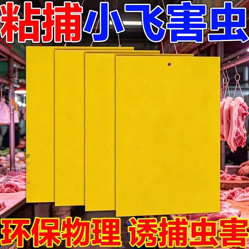 黄板双面粘虫板大棚菜园诱果蝇