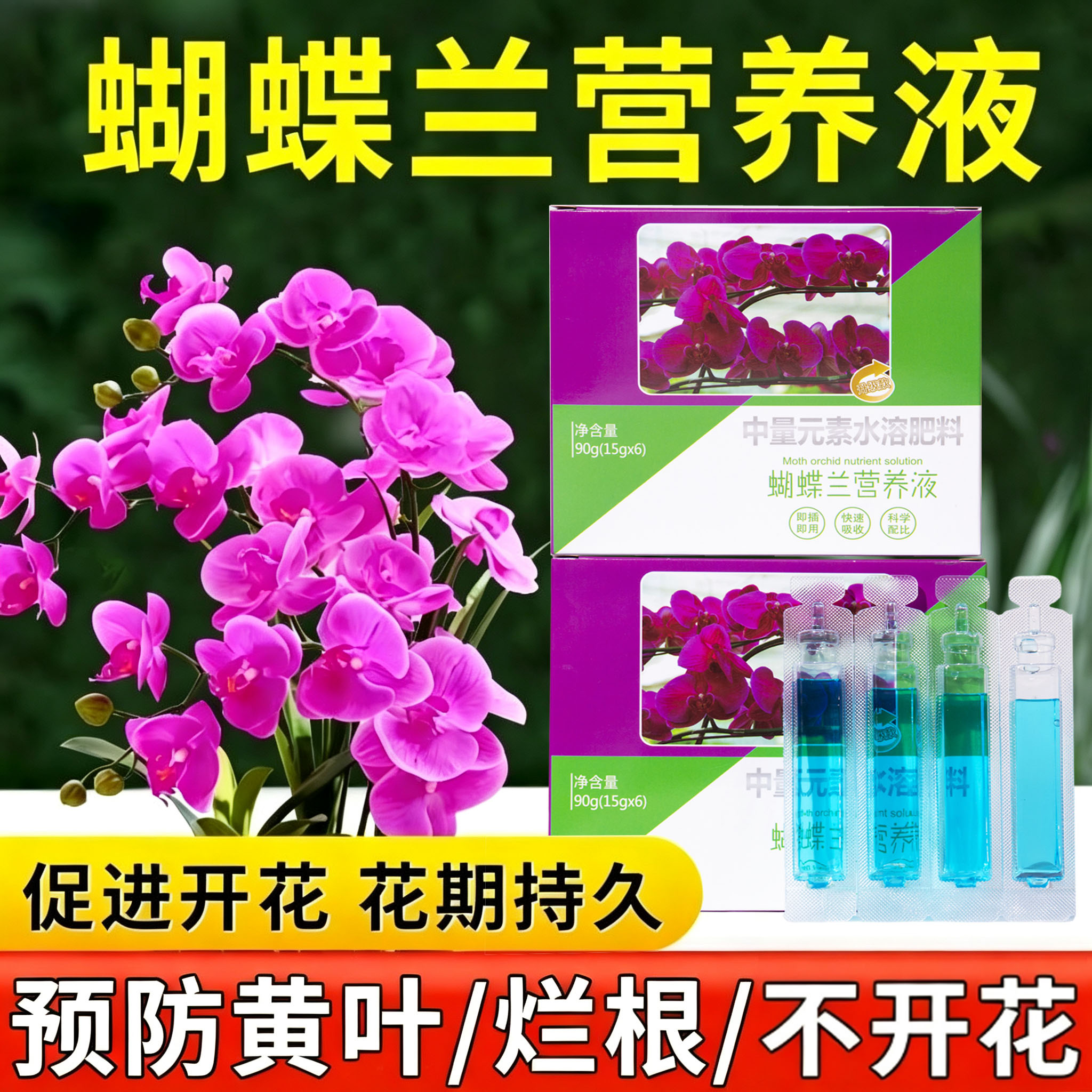 蝴蝶兰专用营养液家用盆栽