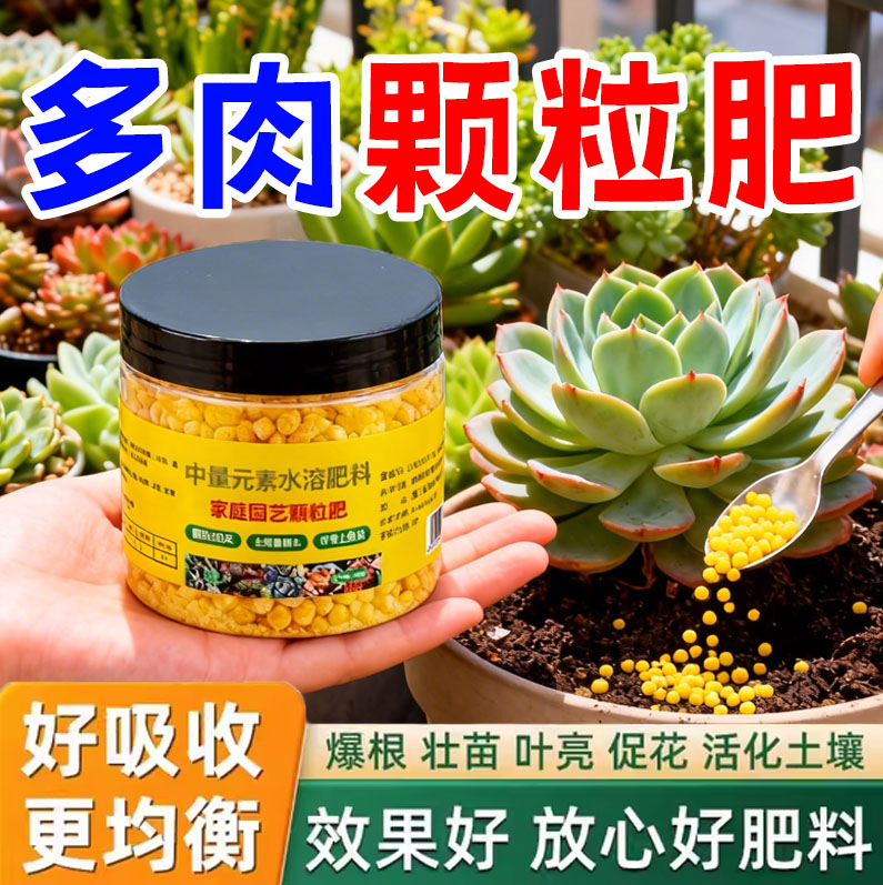 多肉控释肥爆盆增肥增色