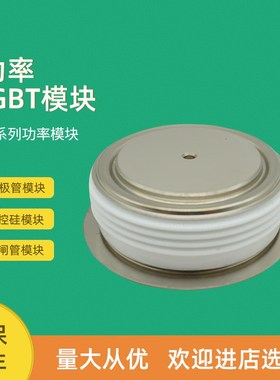 平板可控硅晶闸管T345N16TOF T345N18TOF T348N02TOF T348N04TOF