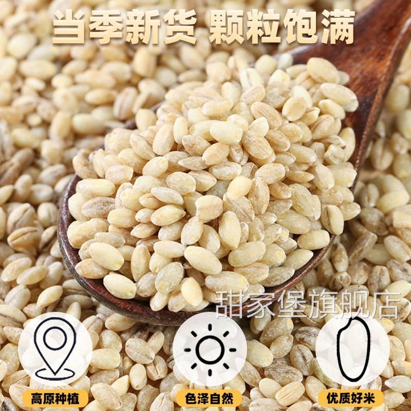 2024白青稞米新米500g 营养糙米健康主食五谷杂粮粥米早餐粗粮饭