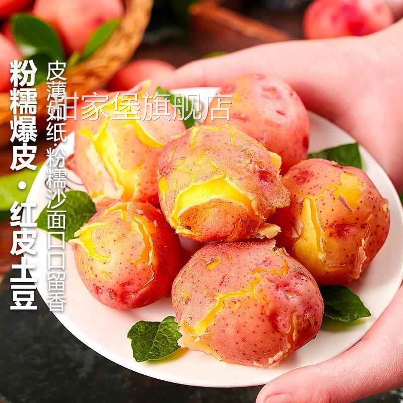 云南红皮黄心土豆9斤包邮新鲜小土豆农家蔬菜洋芋自种马铃薯