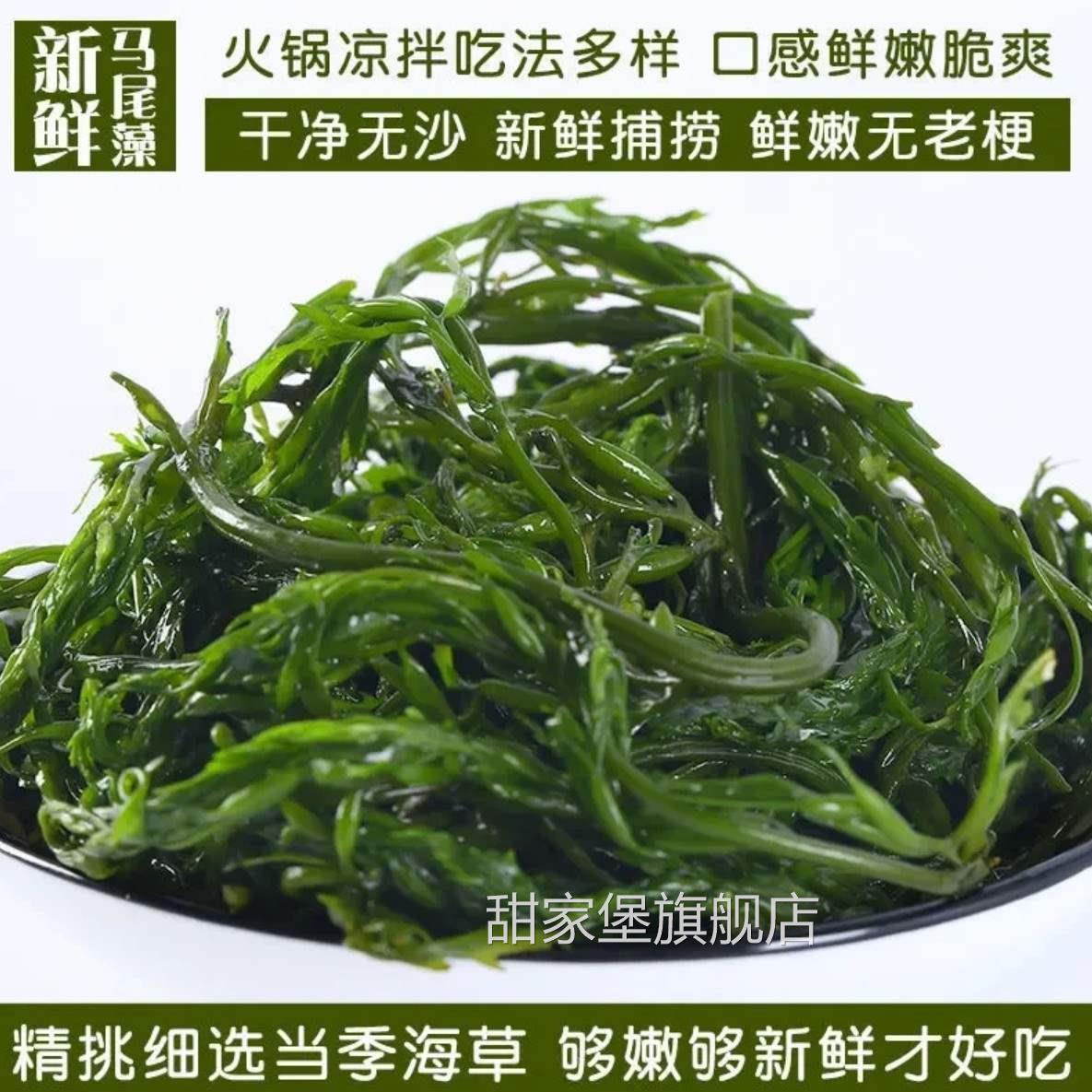 鞭炮笋长寿菜凉拌菜盐渍马尾藻火锅食材海麻辣烫炮仗笋海草边炮笋