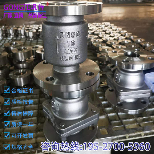 H424W-16Ti/TA1/TA2 钛合金立式止回阀管道单向法兰逆止阀DN40 50