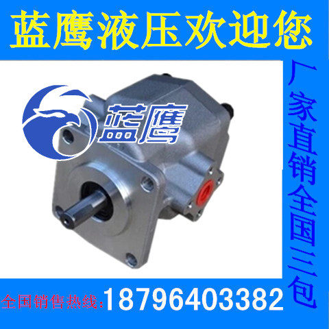 GPY-F2R/F3R/F4R/F5.8R/F6R/F7R/F8R/F9R/F10R/F11.5R/F12R齿轮泵
