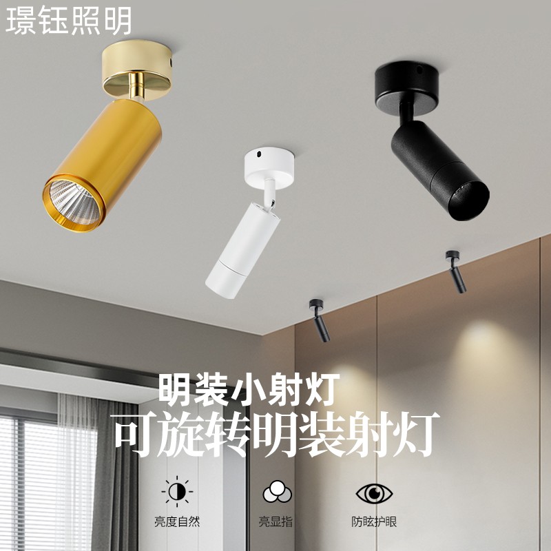 明装小射灯LED吸顶射灯天花板灯嵌入式迷你射灯小型家用筒灯无灯