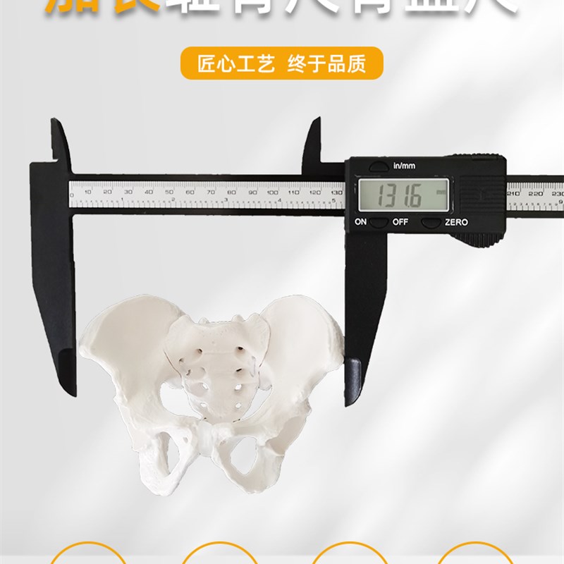 多功能加长正骨耻骨尺电子数显骨盆胯部宽度测量尺子徒手整骨m