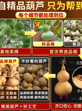 开口天然葫芦空心龙头带盖迷你特小号大小摆件挂件手把件厕所客厅