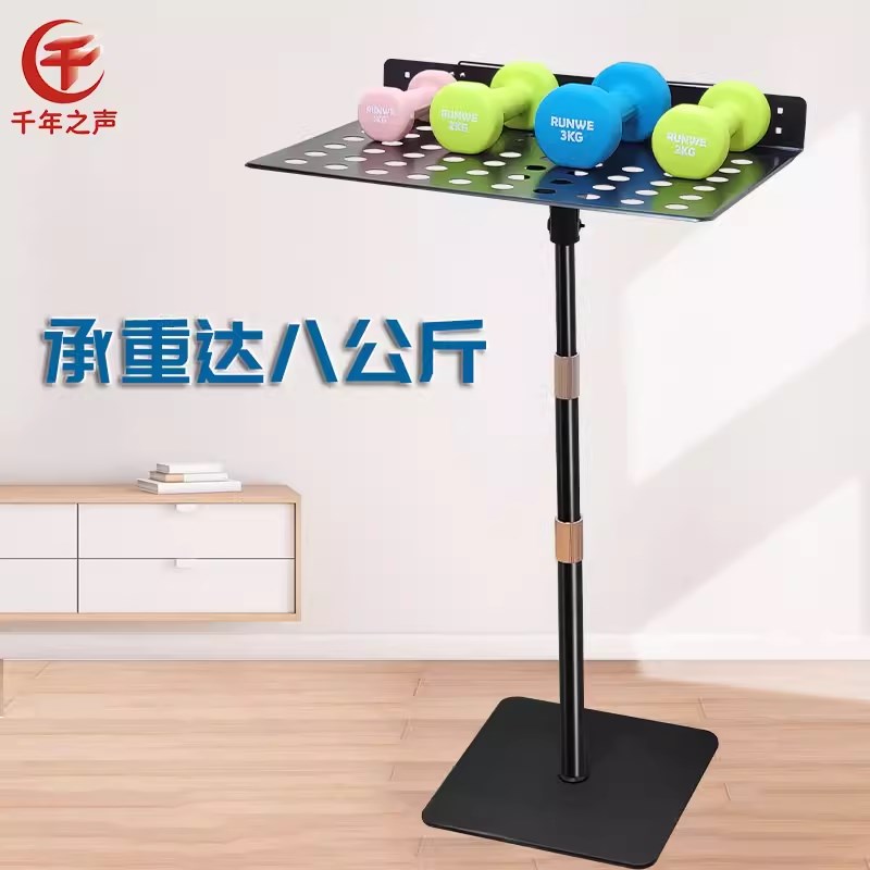 笛子谱架可放竹笛洞箫架家用贴墙省空间不占地带灯站立琴谱台