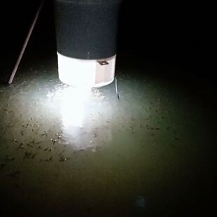 喂鱼苗神器泥鳅花鲢大头粉料喂食器颗粒鱼塘投饵料桶机全自动带灯