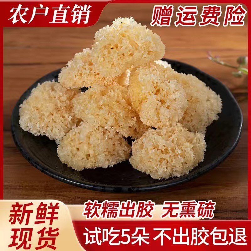 高山小银耳无熏硫软糯出胶白木耳银耳莲子羹银耳百合羹干货