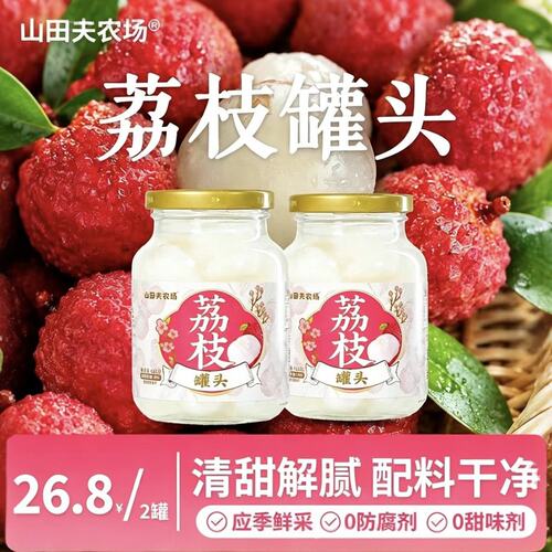 荔枝罐头418g*2罐应季水果罐头去核饱满0防腐剂新鲜解馋追剧零食