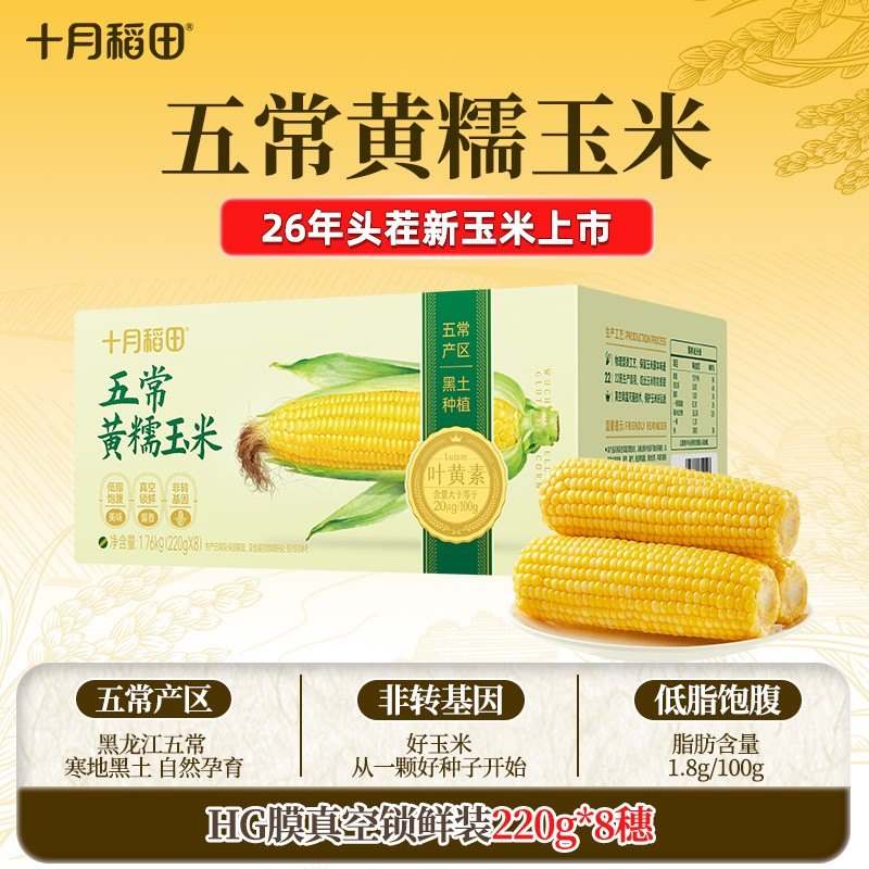 26年新玉米十月稻田五常黄糯玉米低脂粗粮轻食甜糯非转基因