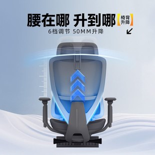 家海绵垫人体工学电竞电脑椅男女家用办公椅 补贴15% ENOVA时尚