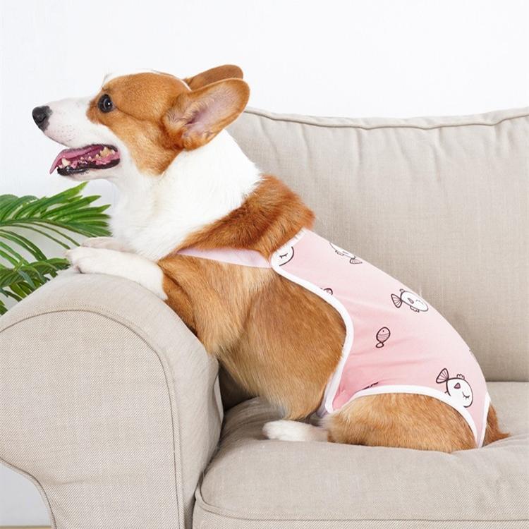 宠物狗狗夏季姨妈巾生理裤女狗母狗柯基防交配神器例假卫生裤泰迪