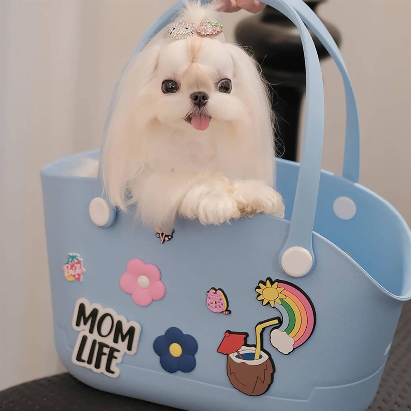 狗狗外出背包猫小型犬马尔济斯泰迪比熊约克夏便携轻便款宠物背包