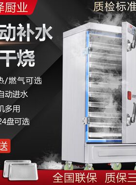 电气两用蒸饭柜蒸饭箱商用家用小型蒸车燃气全自动两相大型