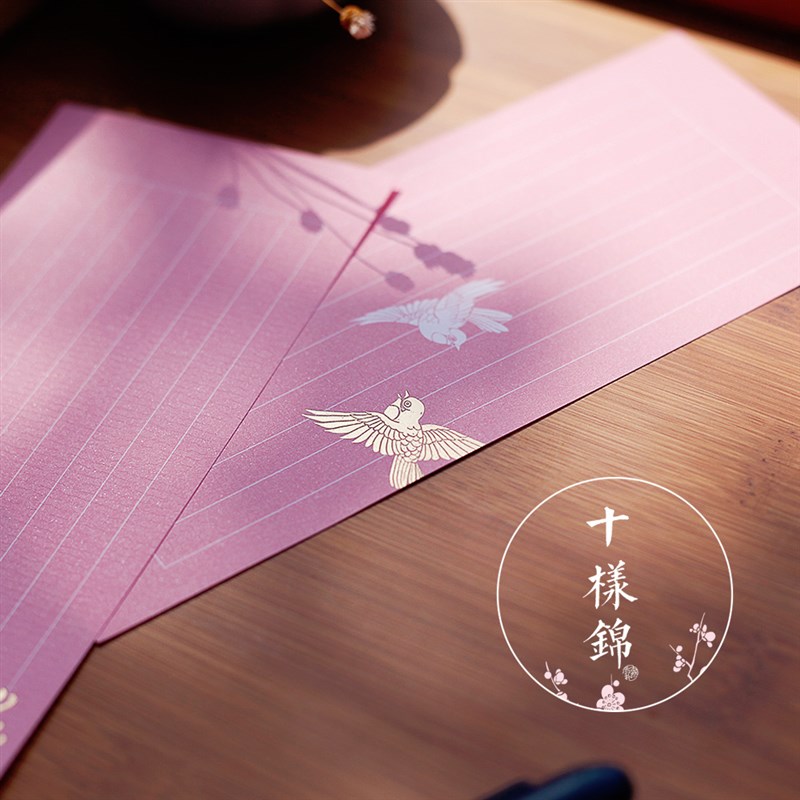 中华美色十样锦一笔笺八行信封信纸装钢笔浣花笺薛涛笺本然质朴