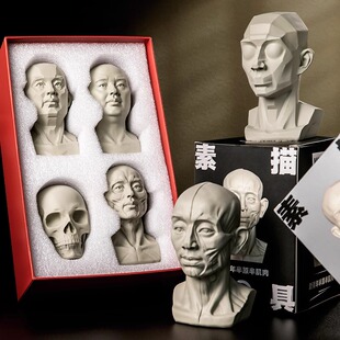 出神入画头头是道素描头像教具米隆石像头骨模型雕塑美术教具