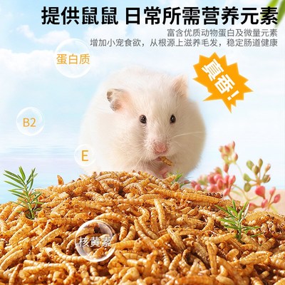 小宠食品仓鼠面包虫干爬宠类粮食金丝熊刺猬乌龟鹦鹉主食黄虫粉