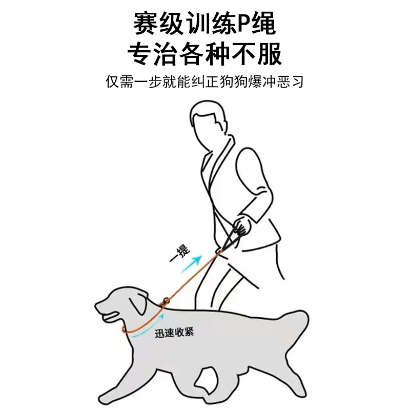 宠物P链P字绳训犬用品狗狗牵引绳遛狗绳子小狗链子小型犬中型大型