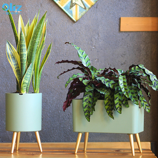 欧林泽懒人智能花盆绿植花卉盆栽自动吸水兰花绿萝月季 多肉大花盆