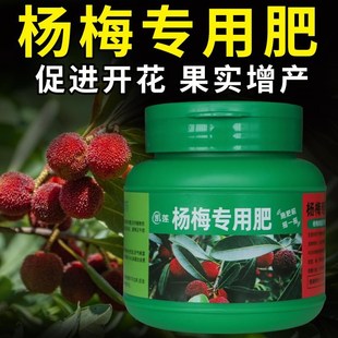 杨梅树专用肥料杨梅复合有机肥果树开花结果磷酸二氢钾氮磷钾化肥