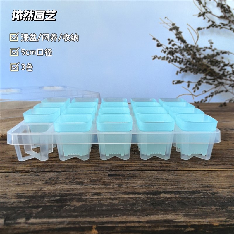 5cm口径 多肉植物花盆配托架托盘组合盖闷养保湿配托盘叶扦插育苗