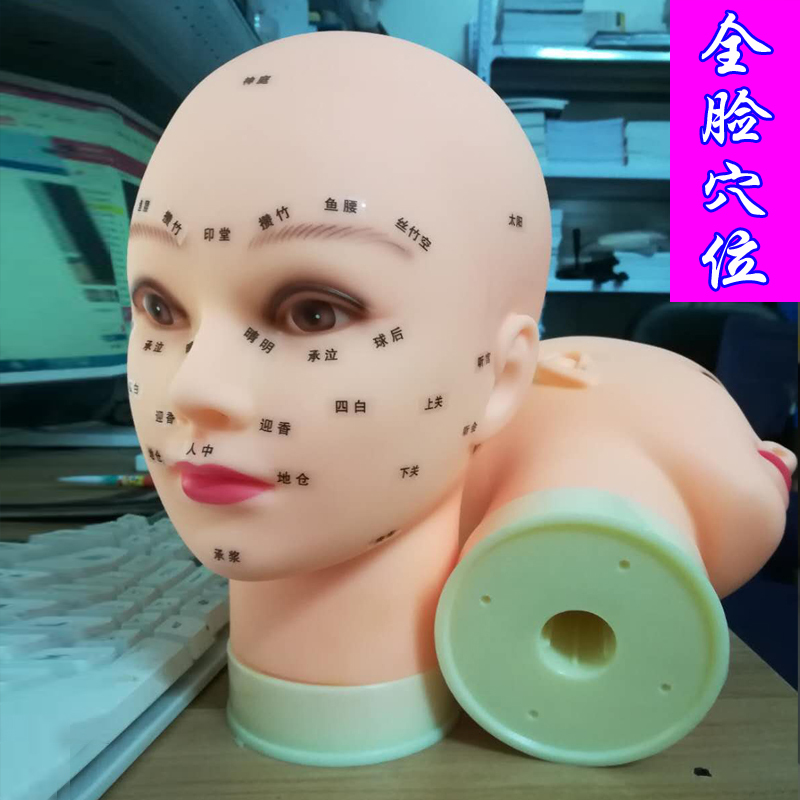 头模练习按摩脸部女穴位假人头模软质光头模特头美容院专用模型
