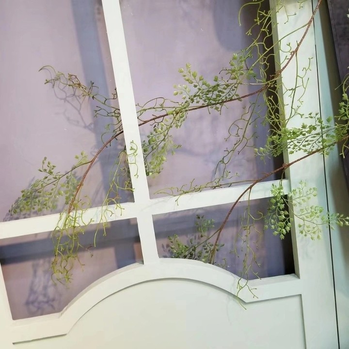 黑骨芒绿植壁挂藤条蔓藤缠绕墙面装饰爬藤蕨类绿植藤条造景植物