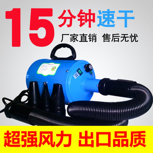 宠物吹水机狗狗吹风机大功率静音狗泰迪金毛大小型犬洗澡吹毛干机