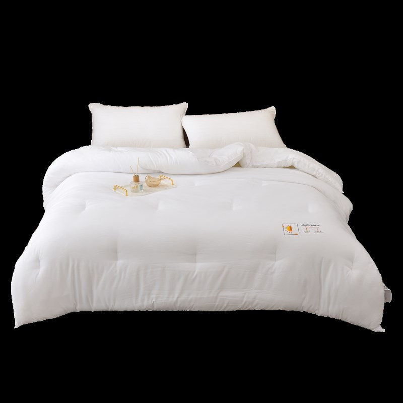 日式酒店简约被子丝绵冬被春秋被空调被四季被柔软学生宿舍被芯