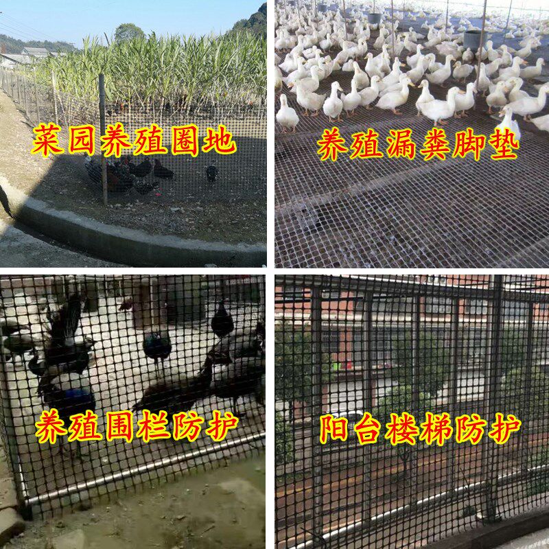 塑料养殖围栏网土工格栅养鸡网安全防护网护栏网动物防逃网漏粪网