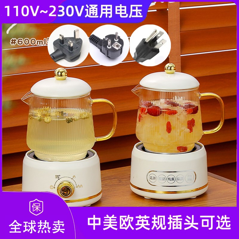 110V通用电压电热水杯美英欧规养生杯小型电热养生壶