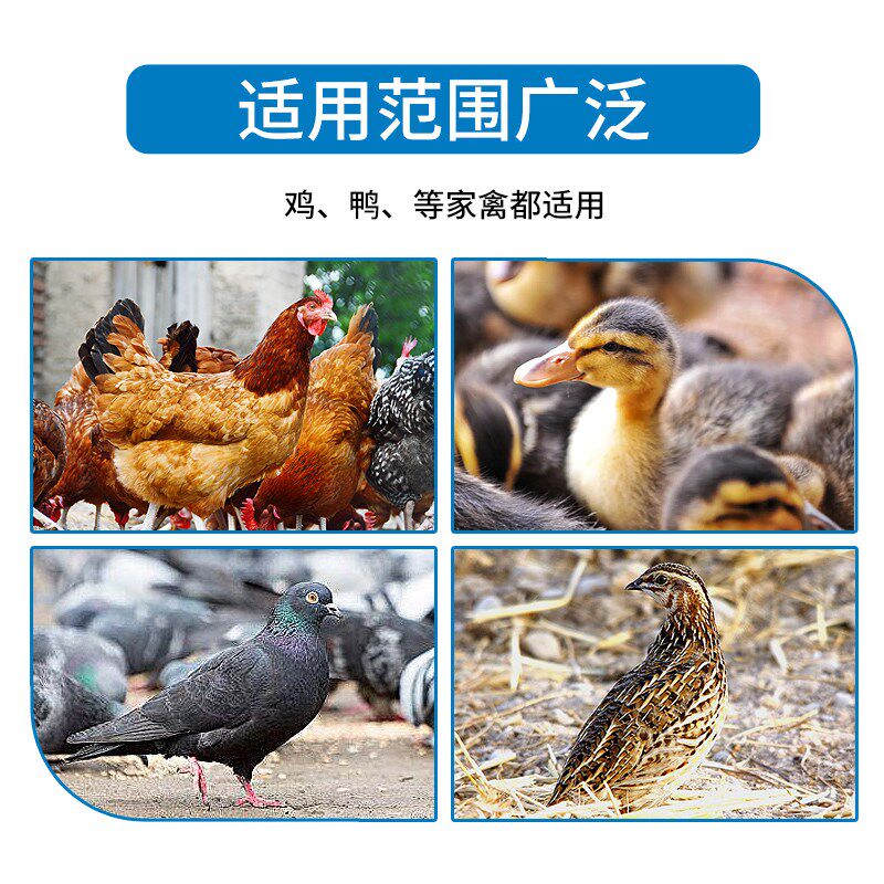 产蛋箱草垫橡胶垫子工鸡窝塑料蛋散养鸡母鸡下蛋窝垫保护鸡蛋