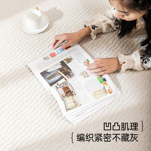 卡提菲亚防水地毯客厅极简奶油风沙发茶几毯卧室床前毯地垫子