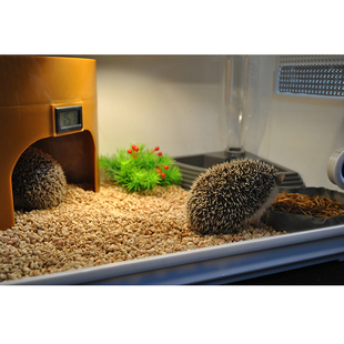 CM爬虫箱陆龟宠物蛇刺猬蜥蜴爬宠饲养箱亚克力保温箱大号爬箱