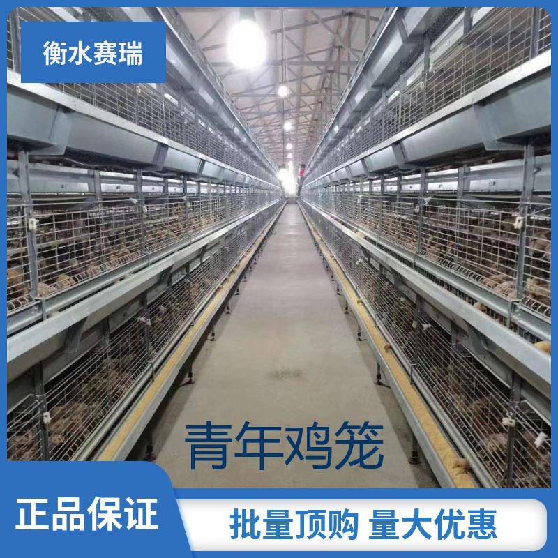 H型青年鸡笼立式养殖场自动化养殖设备层叠式养鸡笼鸽子笼鹌鹑笼