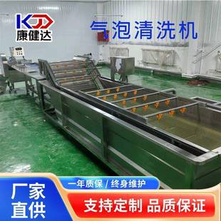 预制菜多功能气泡清洗机蔬菜气泡清洗全自动商用果蔬清洗设备