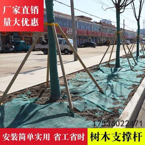 树木支撑架支架套装绿色钢管固定器镀锌钢M管乔木固定支架防风抱