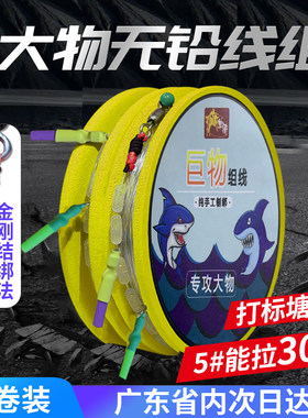 大物线组主线成品鱼线青鱼无铅A主线绑好尼龙线强拉力巨物线组套