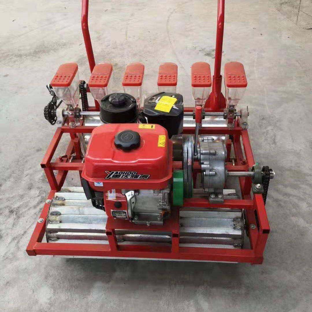 农用多功能蔬菜播种机手推式自走式蔬菜药材白菜菠菜油菜精量播种,农机/农具/农膜,播种栽苗器/地膜机,淘宝优惠券,粉丝福利购,淘宝优惠卷