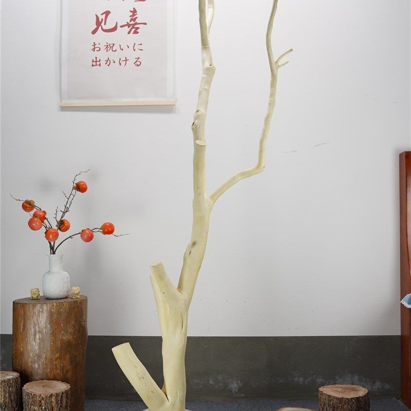 衣帽架干树枝挂衣架实木树杈落地卧室民宿现代创意架