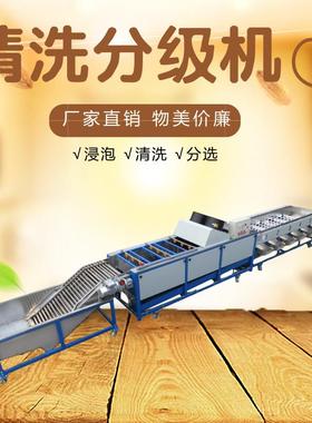 气泡清洗机分级清洗分选机生产厂家脐橙分级机选果机