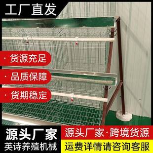 笼养鸡设备厂家 养殖场用半A三层四门蛋鸡笼设备热镀锌多层阶梯式