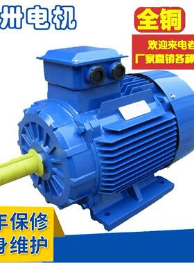 上海起重变频电动机YZP280S2-6YTSP280S2-6YTSZ280S2-663W