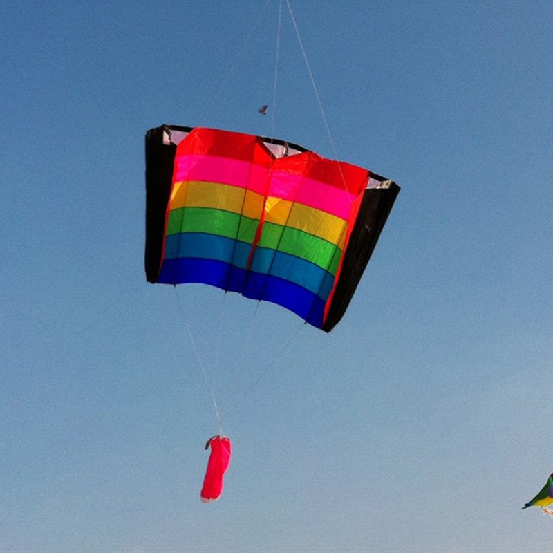 彩虹之翼 潍坊七彩鸟风筝 易飞天空 加强版